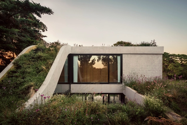 Casas en Argentina: cubiertas verdes que fusionan arquitectura y paisaje - Imagen Principal